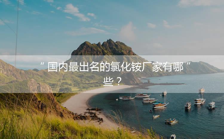 國內最出名的氯化銨廠家有哪些？